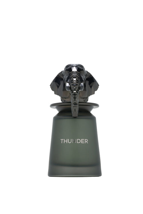 French Avenue – Thunder Eau de Parfum, 3.4 oz (Unisex)